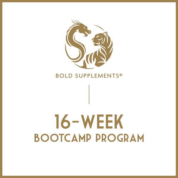 16-Week Bootcamp Program