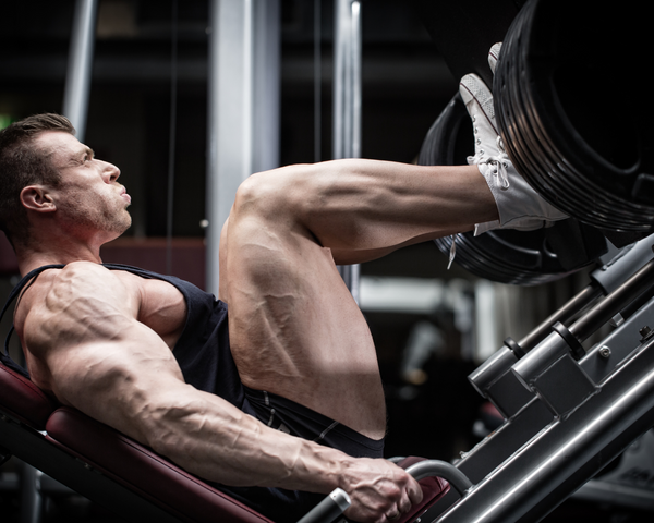 The Businessman’s Guide to Training Legs: Why Big, Strong Legs Lead to Peak Performance
