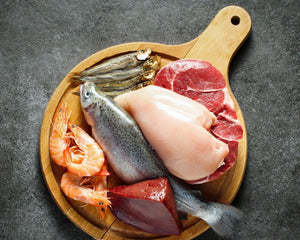 Fuel Success Like a CEO: Why 200g of Protein is the Game-Changer