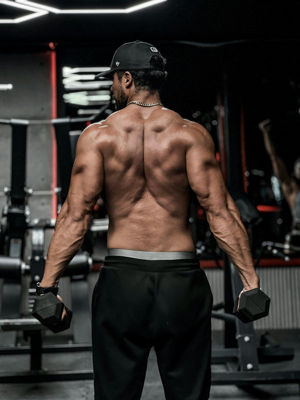 The Businessman’s Guide to Building a Strong Upper Back and Posterior Delts